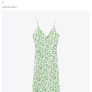 Zara Long Print Dress